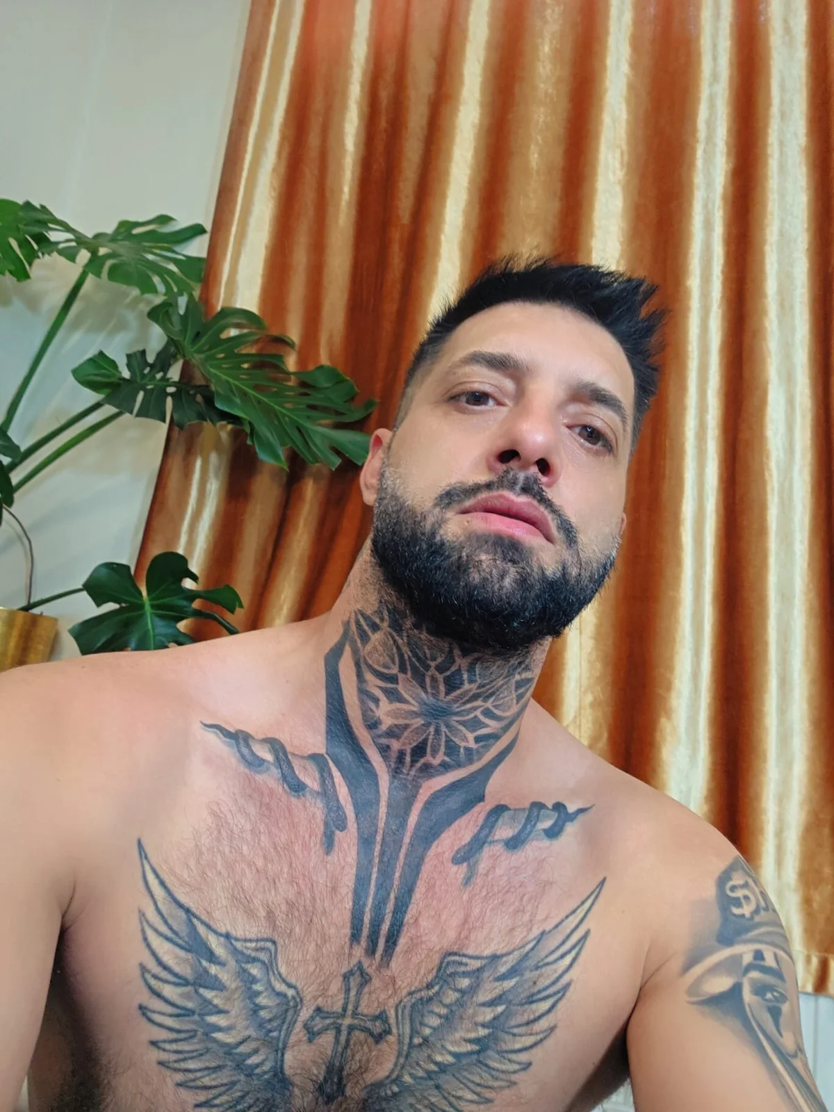 TommyDum Δημοφιλής εικόνα 6139