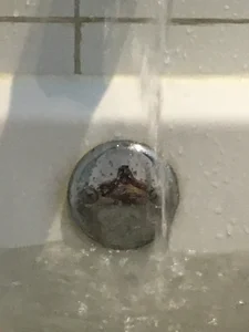 Public de Gordito319  4 photos