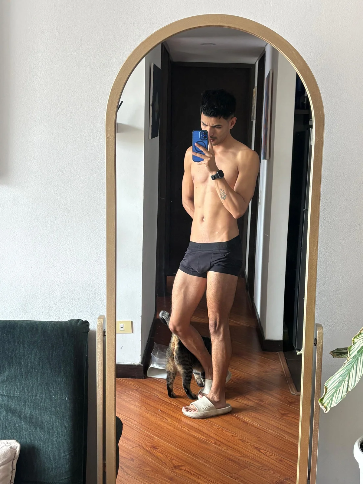 diego_latino Gambar Trending 4826