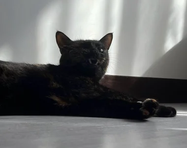 rara_ruru Eve Immagine  6