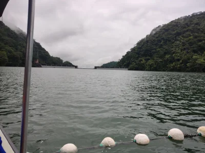 TigerStripes1_ World Εικόνα 6