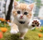 _Sandra__ Are you waiting for me? টি ছবি