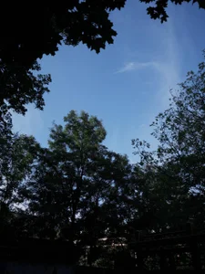 foxy_tease_ spend this day with me🌸☀ Bilde 4