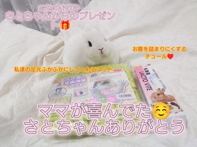 Zdjęcia maii- 欲しい物リスト🌈いただきもの:  2