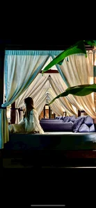 kinu_SARASARAの📷の枚の写真