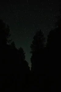 karan_sandhu_1: NATURE ( фото)