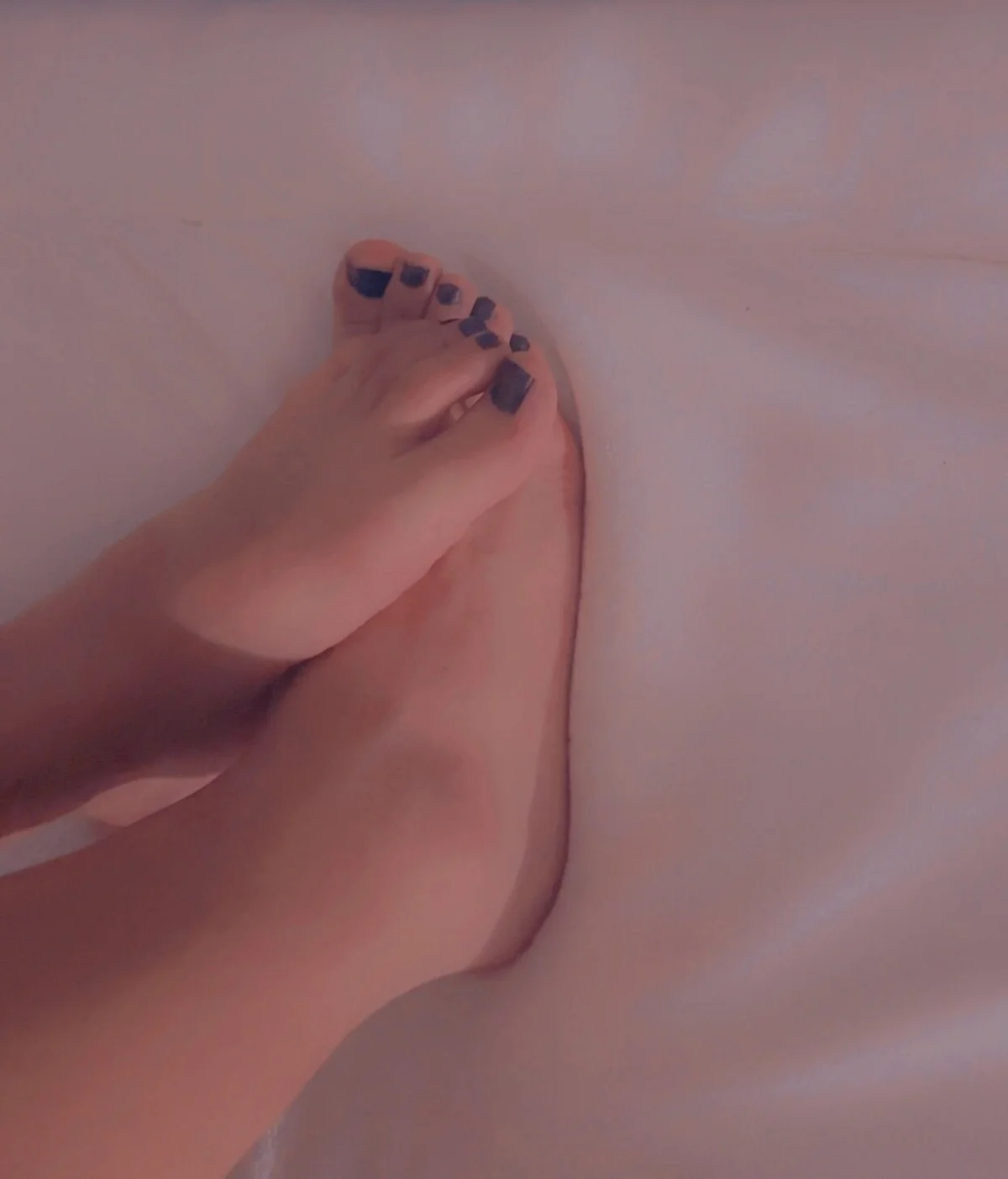 PrincesseShy Image populaire  1343