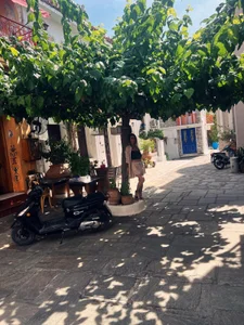 BrianaGolddenn Holiday Foto 2