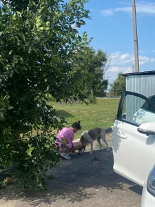 life as it is de _ni_kiss Foto 6