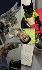 tom_Howard 🐱 사진 4