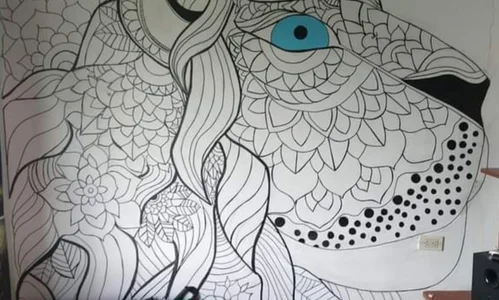 Zdjęcia Morgana_X My art:  2