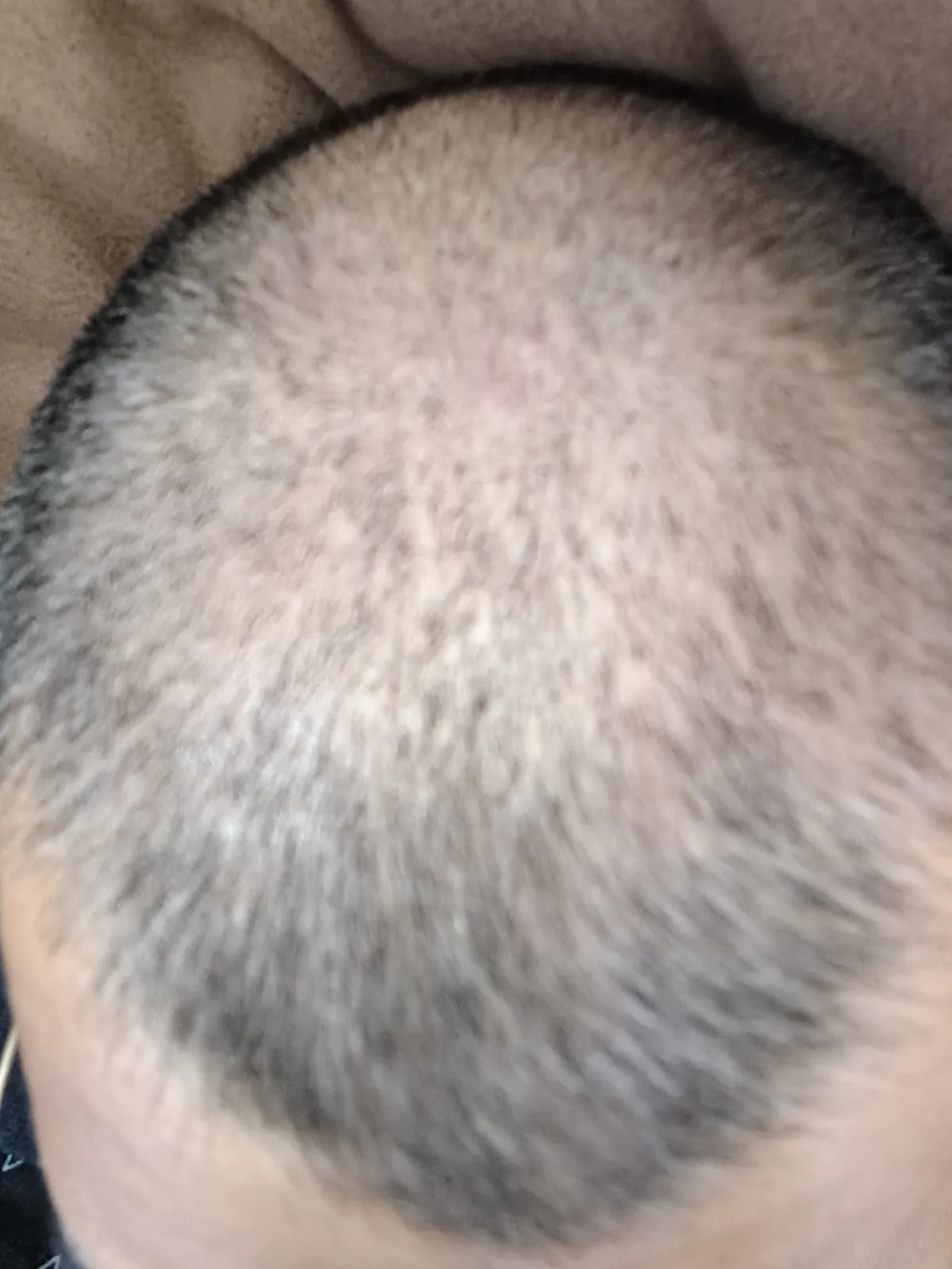Jabz003 adlı kullanıcının viral fotoğrafları:  1166