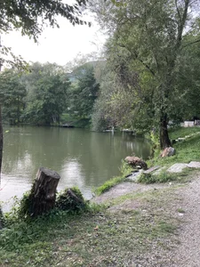 Golyboglazkaa rest Kuva 3