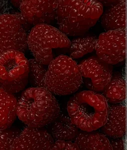 EvelynVanilie Public Foto 5