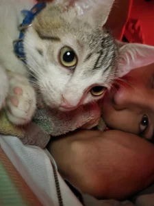 Lucas de Darwinstark_  2 Imagens