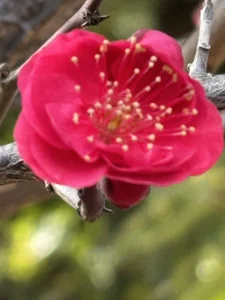 xxoLENAoxx a parco Pic 2