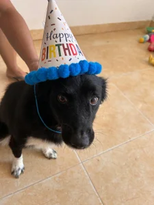 DakothaHyland_ My puppy Pic 4