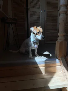 Airyhill My sweet soul slika 2