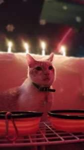 anaroman01 Day at home ✨ Pic 9