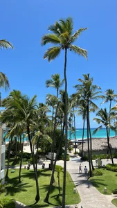 nate_rott I love the beach ❤️ Billede