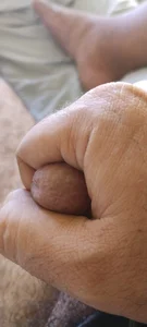 GordimTotoso Public Εικόνα