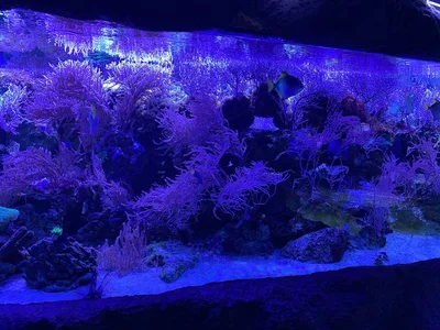 pure_radiance1 It was very beautiful here!!! Foto 5