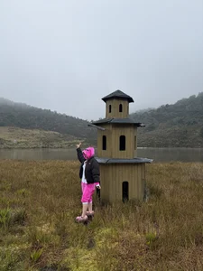 Public de Nikii__  Imagens