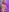 Miss69Ri99's photo