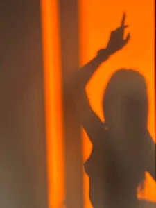 Quinavelle Public зображення 4