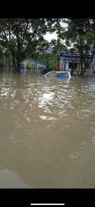 Pinaydreamer18 Public Immagine  4