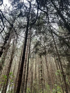 b3k_afrodict Connecting with nature Pic 7