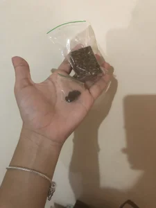 bellinii07 Dia especial 🤭🥵 slika 8