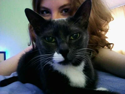 Cuddle_Cat Public зображення 9