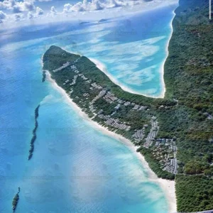 golgi713 Take advantage of me when I’m inebriated, please!  3. fénykép