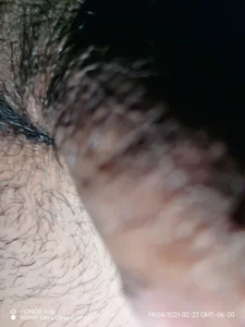 Wolfuck13 Public Immagine 
