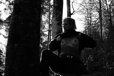 Moray_Eel Forest Poză