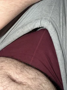 cobr-2024 Public 圖片