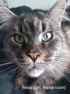 Alicia_x_art My pets صورة واحدة|Alicia_x_art My pets صورتان|Alicia_x_art My pets  صور|Alicia_x_art My pets  صورة