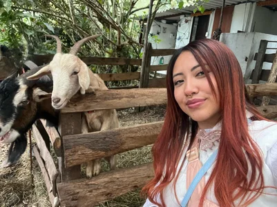 Saelivrae Travel companions Pic