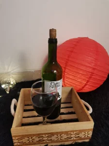 PaulinaBelushi of my best moments on the webcam (dinner with a very very special user that I love very much) thanks Foto 3