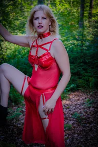 Moistdevil Im Forst зображення 4