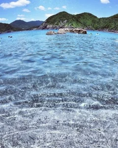 ema2025-1 オモイデ Pic