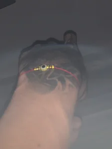 mai_braga23 Public Pic