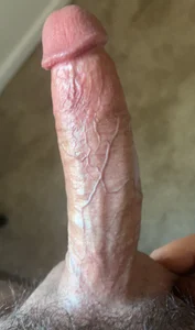 Public od plaintreebull  snímek