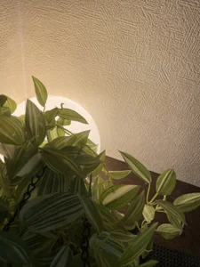 Public de momo_love_  5 Imagens