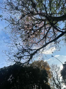 💋 Rest Tuesday 💫 de Dollar-girl  7 photos