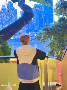 Anson0722 游玩 зображення 6