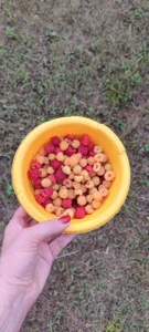 Riley_Annet IN THE VILLAGE Εικόνα 3