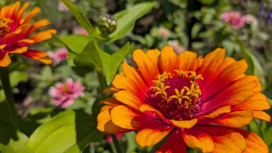 Bo0g: Nature photography ( 4 фото)