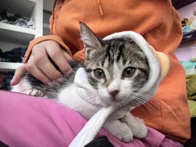 My love Rini 💘 de ailen_wood  7 Imagens